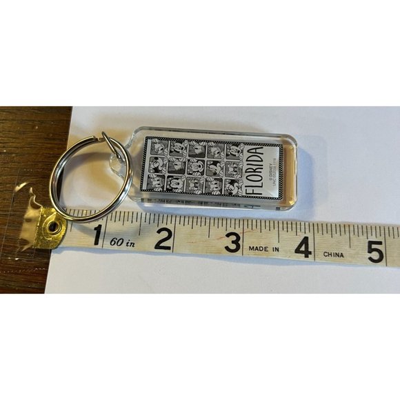 Disney Key Chain Set Of 4 Florida Souvenir 2020 Florida - Picture 13 of 13